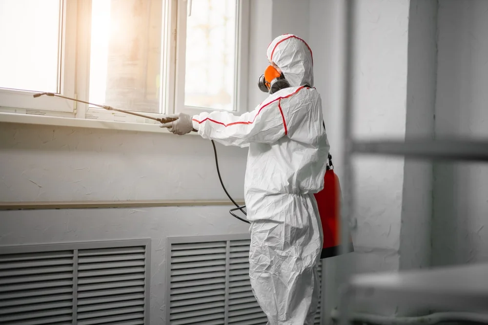 Professional mold remediation services in Riverside, RI
